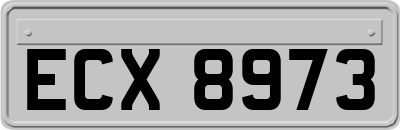 ECX8973