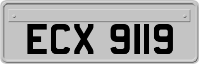 ECX9119