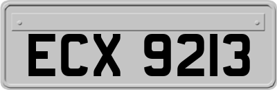 ECX9213