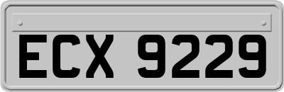 ECX9229