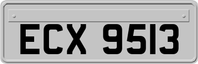 ECX9513