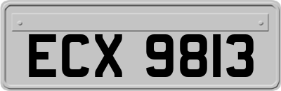 ECX9813