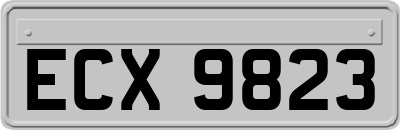 ECX9823