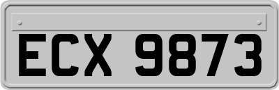 ECX9873