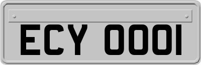 ECY0001