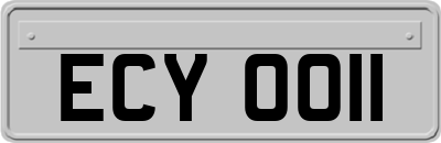 ECY0011