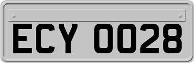 ECY0028