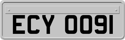 ECY0091