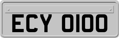 ECY0100