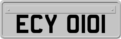 ECY0101