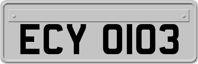 ECY0103