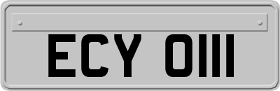 ECY0111
