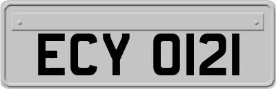 ECY0121