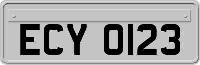 ECY0123