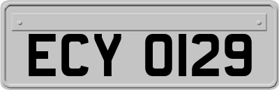 ECY0129