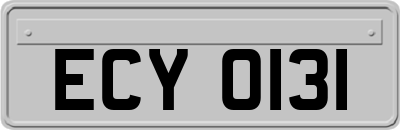 ECY0131