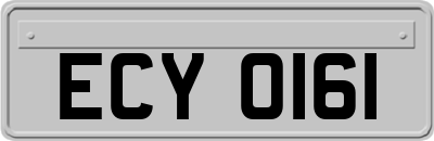 ECY0161