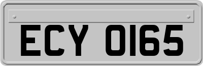 ECY0165