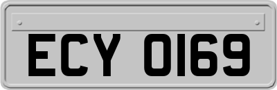 ECY0169