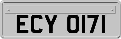 ECY0171
