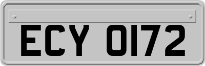 ECY0172