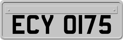 ECY0175