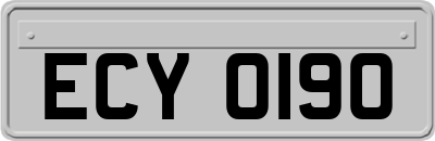 ECY0190