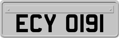 ECY0191