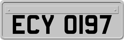 ECY0197