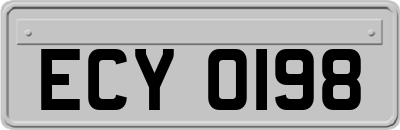 ECY0198