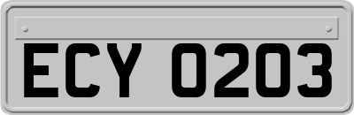 ECY0203