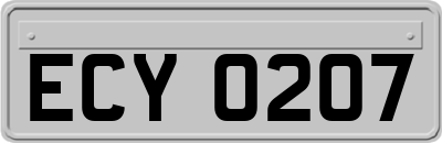 ECY0207