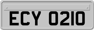 ECY0210