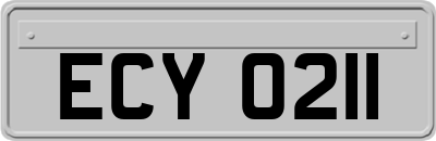 ECY0211