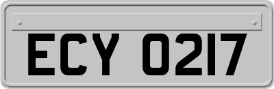 ECY0217