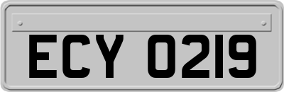 ECY0219