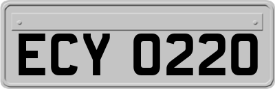 ECY0220