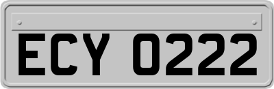 ECY0222
