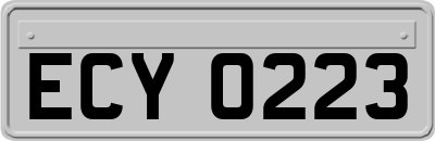 ECY0223