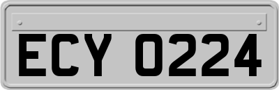 ECY0224