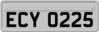 ECY0225