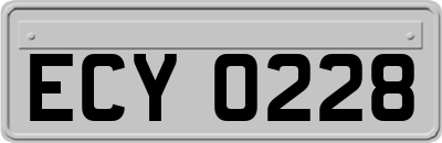 ECY0228