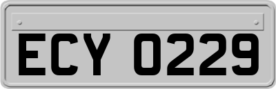 ECY0229