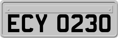 ECY0230