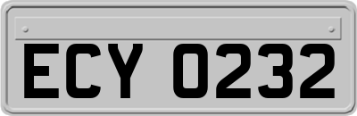 ECY0232