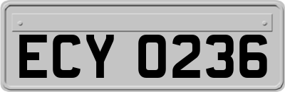 ECY0236