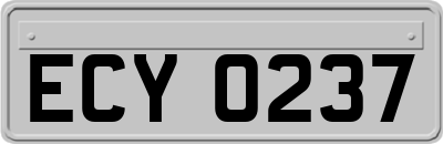 ECY0237