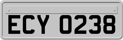 ECY0238