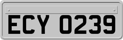 ECY0239