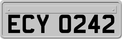 ECY0242